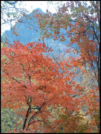 fall_colors_2001.jpg